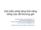 Bài giảng Các biện pháp tăng khả năng sống của vết thương gót - Bs. Châu Thị Ngọc