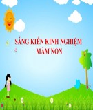 Sáng kiến kinh nghiệm Mầm non: Một số biện pháp chỉ đạo thực hiện có hiệu quả việc tổ chức chuyên đề trong trường mầm non