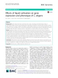 Effects of liquid cultivation on gene expression and phenotype of C. elegans