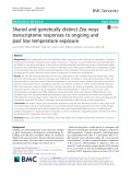 Shared and genetically distinct Zea mays transcriptome responses to ongoing and past low temperature exposure