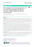 The complete mitochondrial genome of the early flowering plant Nymphaea colorata is highly repetitive with low recombination
