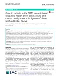 Genetic variants in the SIRT6 transcriptional regulatory region affect gene activity and carcass quality traits in indigenous Chinese beef cattle (Bos taurus)