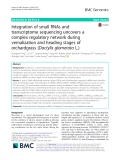 Integration of small RNAs and transcriptome sequencing uncovers a complex regulatory network during vernalization and heading stages of orchardgrass (Dactylis glomerata L.)