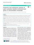Proteomic and evolutionary analyses of sperm activation identify uncharacterized genes in Caenorhabditis nematodes