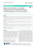 Design and validation of a multiplex PCR protocol for microsatellite typing of Candida parapsilosis sensu stricto isolates