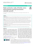 Redox proteomic study of Bacillus cereus thiol proteome during fermentative anaerobic growth