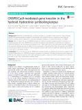 CRISPR/Cas9-mediated gene knockin in the hydroid Hydractinia symbiolongicarpus