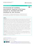 Environmental pH modulates transcriptomic responses in the fungus Fusarium sp. associated with KSHB Euwallacea sp. near fornicatus