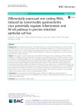 Differentially expressed non-coding RNAs induced by transmissible gastroenteritis virus potentially regulate inflammation and NF-κB pathway in porcine intestinal epithelial cell line