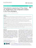 Transcriptome sequencing of Pinus kesiya var. langbianensis and comparative analysis in the Pinus phylogeny