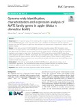 Genome-wide identification, characterization and expression analysis of MATE family genes in apple (Malus × domestica Borkh)