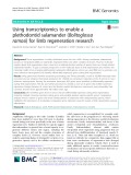 Using transcriptomics to enable a plethodontid salamander (Bolitoglossa ramosi) for limb regeneration research