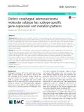 Distinct esophageal adenocarcinoma molecular subtype has subtype-specific gene expression and mutation patterns