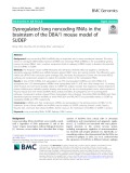 Dysregulated long noncoding RNAs in the brainstem of the DBA/1 mouse model of SUDEP