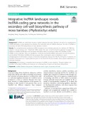 Integrative lncRNA landscape reveals lncRNA-coding gene networks in the secondary cell wall biosynthesis pathway of moso bamboo (Phyllostachys edulis)