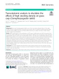Transcriptomic analysis to elucidate the effects of high stocking density on grass carp (Ctenopharyngodon idella)
