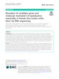 Revelation of candidate genes and molecular mechanism of reproductive seasonality in female rohu (Labeo rohita Ham.) by RNA sequencing