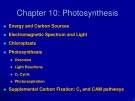 Lecture Principles of Biology - Chapter 10: Photosynthesis