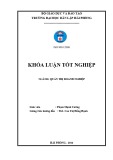 Khoá luận tốt nghiệp: Một số biện pháp nâng cao hiệu quả sử dụng nguồn nhân lực tại Công ty cổ phần Oshico