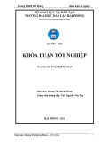 Khoá luận tốt nghiệp: Hoàn thiện công tác kế toán hạch toán doanh thu, chi phí và xác định kết quả kinh doanh tại Công ty TNHH một thành viên VIPCO Hải Phòng