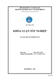 Khoá luận tốt nghiệp: Hoàn thiện công tác lập và phân tích bảng cân đối kế toán tại Công ty TNHH phát triển công nghệ hệ thống