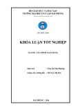 Khoá luận tốt nghiệp: Giải pháp nâng cao hiệu quả huy động vốn tại Ngân hàng TMCP Sài Gòn Công Thương – Chi nhánh Hải Phòng