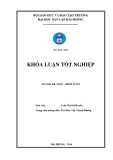 Khoá luận tốt nghiệp: Hoàn thiện công tác lập và phân tích Bảng cân đối kế toán tại công ty TNHH Thương mại và Vận tải Tùng Phương