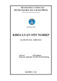 Khoá luận tốt nghiệp: Hoàn thiện công tác lập và phân tích Bảng cân đối kế toán tại Công ty Cổ phần Công nghiệp Tàu thủy Đông Á