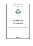 Khóa luận tốt nghiệp: Nghiên cứu đặc điểm thực vật và thành phần hóa học của cây Thài lài trắng (Commelina diffusa Burm.F.)