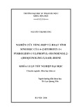 Khóa luận tốt nghiệp: Nghiên cứu tổng hợp và hoạt tính sinh học của 6-(2-hydroxy-3-(pyrrolidin-1-Yl)propyl)-5H-indeno(1,2-C)isoquinoline-5,11(6H)-dione - Nguyễn Thu Hương