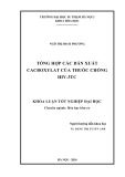Khóa luận tốt nghiệp: Tổng hợp các dẫn xuất cacboxylat của thuốc chống HIV- 3TC