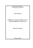 Luận án Tiến sĩ Kinh tế: Nghiên cứu năng lực động của các doanh nghiệp bán lẻ Việt Nam