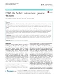 EOGD: The Euplotes octocarinatus genome database