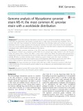 Genome analysis of Mycoplasma synoviae strain MS-H, the most common M. synoviae strain with a worldwide distribution