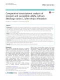 Comparative transcriptomic analysis of resistant and susceptible alfalfa cultivars (Medicago sativa L.) after thrips infestation