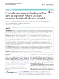 Comprehensive analysis of coding-lncRNA gene co-expression network uncovers conserved functional lncRNAs in zebrafish