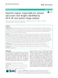 Genomic regions responsible for seminal and crown root lengths identified by 2D & 3D root system image analysis