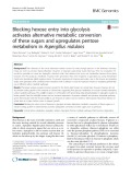Blocking hexose entry into glycolysis activates alternative metabolic conversion of these sugars and upregulates pentose metabolism in Aspergillus nidulans