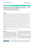 Prediction of plant lncRNA by ensemble machine learning classifiers