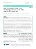 Gene expression profiling in the developing secondary palate in the absence of Tbx1 function