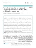 Transcriptome analysis of response to Plasmodiophora brassicae infection in the Arabidopsis shoot and root