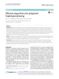 Efficient algorithms for polyploid haplotype phasing