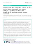 Genome-wide DNA methylation patterns of bovine blastocysts derived from in vivo embryos subjected to in vitro culture before, during or after embryonic genome activation