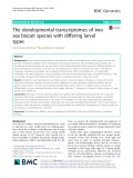 The developmental transcriptomes of two sea biscuit species with differing larval types