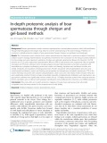 In-depth proteomic analysis of boar spermatozoa through shotgun and gel-based methods