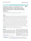 Integrative analysis of methylomic and transcriptomic data in fetal sheep muscle tissues in response to maternal diet during pregnancy