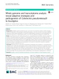 Whole genome and transcriptome analysis reveal adaptive strategies and pathogenesis of Calonectria pseudoreteaudii to Eucalyptus