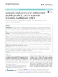 Molecular mechanisms of an antimicrobial peptide piscidin (Lc-pis) in a parasitic protozoan, Cryptocaryon irritans