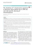 The slowdown of Y chromosome expansion in dioecious Silene latifolia due to DNA loss and male-specific silencing of retrotransposons