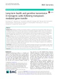 Long-term health and germline transmission in transgenic cattle following transposonmediated gene transfer